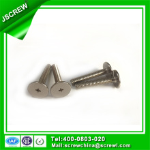 1/4 en acier inoxydable Phillips Big Flat Head Screw