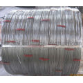 Oval Galvanized Wire, Alambre Ovalado, Alambre Galvanizado (CTM-5)