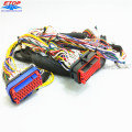 Chicote de fios do OEM Assy com o conector selado Molex