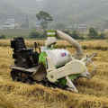 4lz-1.2a Wheat Mini Combine Harvester