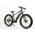 FH500 vollgefedertes E-Bike mit Fettreifen