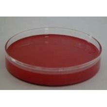 Lavastatine / Extrait de levure rouge