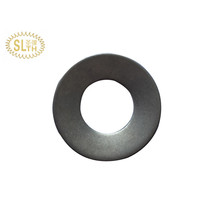 Slth-Ds-004 60si2mn 65mn Disc Spring for Industry