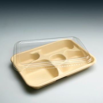 Divided Take Away Food Plastic Tray with Lip