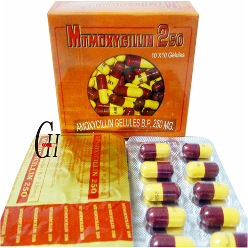 Ampicillin Capsule 250 Mg