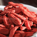 Wolfberry vermelho chinês - Goji Zi