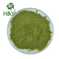 Food grade fresh Macha Green Tea matcha powder