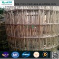 Welded Wire Mesh with Low Price