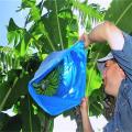 Bolsa de proteção de banana protetora de plástico azul