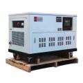 Generador de combustibles múltiples portátiles 10-15kW LPGnatural Gasets Gensets