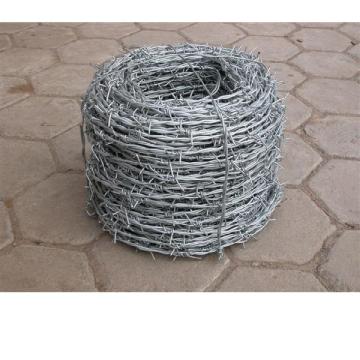 Galvanized or PVC Coated Barbed Wire