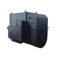 High Voltage Three Phase 7200v Generator