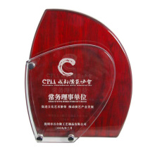 Premios de reconocimiento de placas perpetuas de acrílico personalizados baratos