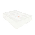 Free Sample Disposable Clear Cosmetic Lipstick Blister Trays