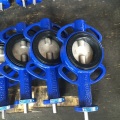 Lug Type Butterfly Valve-Gg25 Body