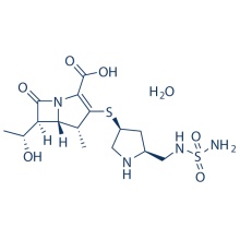 Doripenem Hydrate 364622-82-2