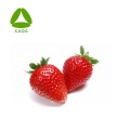 Strawberry extract Strawberry fuit powder spray dried powder