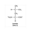 L-Leucin Bcaa Lebensmittelzusatzstoffe 61-90-5