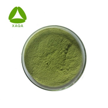 Healthy Natural Wheat Grass Juice Powder Price