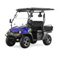 Jeep Style 200CC EFI Golf Carts with EPA