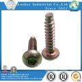 Cabeza de la cacerola del acero inoxidable Philllip Self Tapping Screw