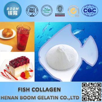 Fish collagen protein