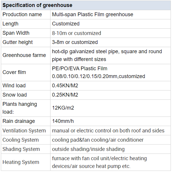 Multi-span plastic film greenhouse Multi-span plastic film greenhouse