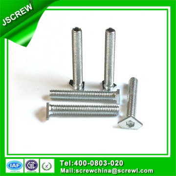 Socket Special Head Customer Screw for Equipment