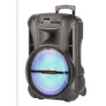 15inch Outdoor Portable Speaker With Wireless Mic