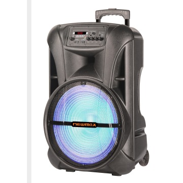 15inch Outdoor Portable Speaker With Wireless Mic