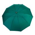 10 Ribs Auto Open 2 Folding Umbrella