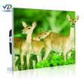 PH1.25 HD LED Display 400x300mm