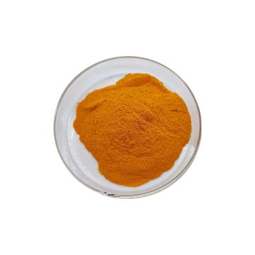 Nutrition Supplement Ingredient Coenzyme Q10 CoQ10 Powder