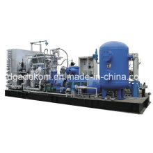 Low Pressure Reciprocating Piston Nactural Gas CNG Compressor (Kdw-80/2