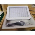 WENYI 1000W Double Chips LED Plant Grow Light