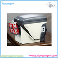 Car Cooler Box