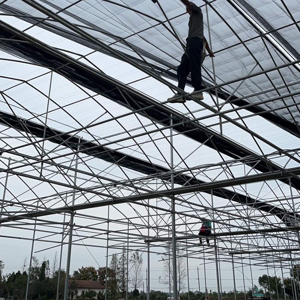 Double Layer or Multi-layer PC Greenhouse Double Layer or Multi-layer PC Greenhouse
