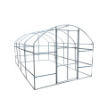 Tunnel PE Flim Greenhouse For Vegetables / Flower