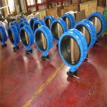 Dn40-Dn2400 Double Flanged Butterfly Valve