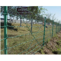 Hot Dipped Galvanized Double Barbed Wire Fence