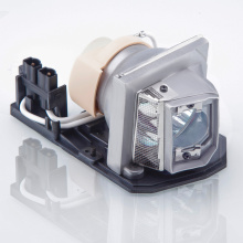 EC.K0100.001 Lampe de projecteur pour Acer X110 X110P