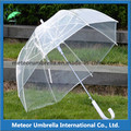 Straight Auto Open Transparente Bubble Promtion Gift Umbrella