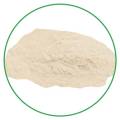 Wholesale air dried organic cauliflower powder