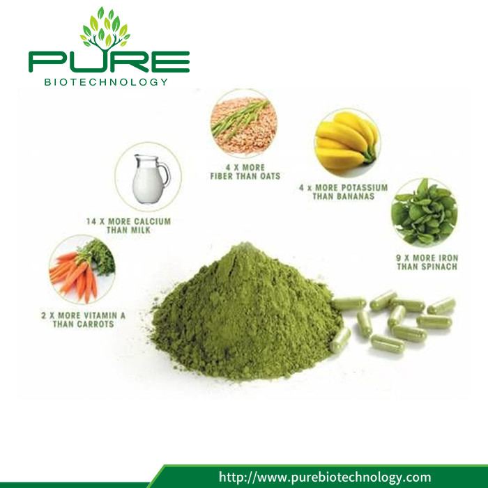 100% Natural Moringa Leaf Extract (3)