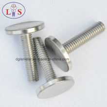 Stainless Steel 304 Bolt/ Ss 304 Flat Head Bolt