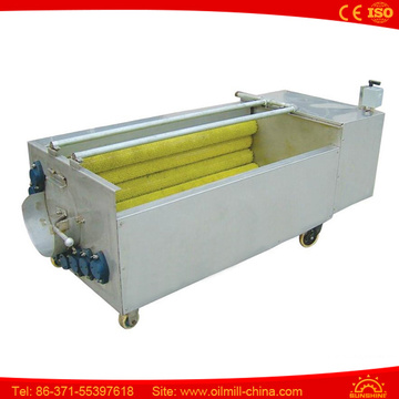 Bush Washer for Apple Carrot Ginger Commercial Vegetable Washer