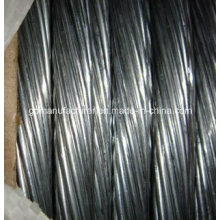 Hot Dipped Zinc-Coated Galvanized Steel Wire Strand