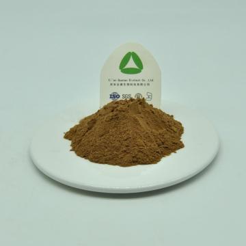 Arachnoid Cyanotis Root Extract powder Beta Ecdysone 40%