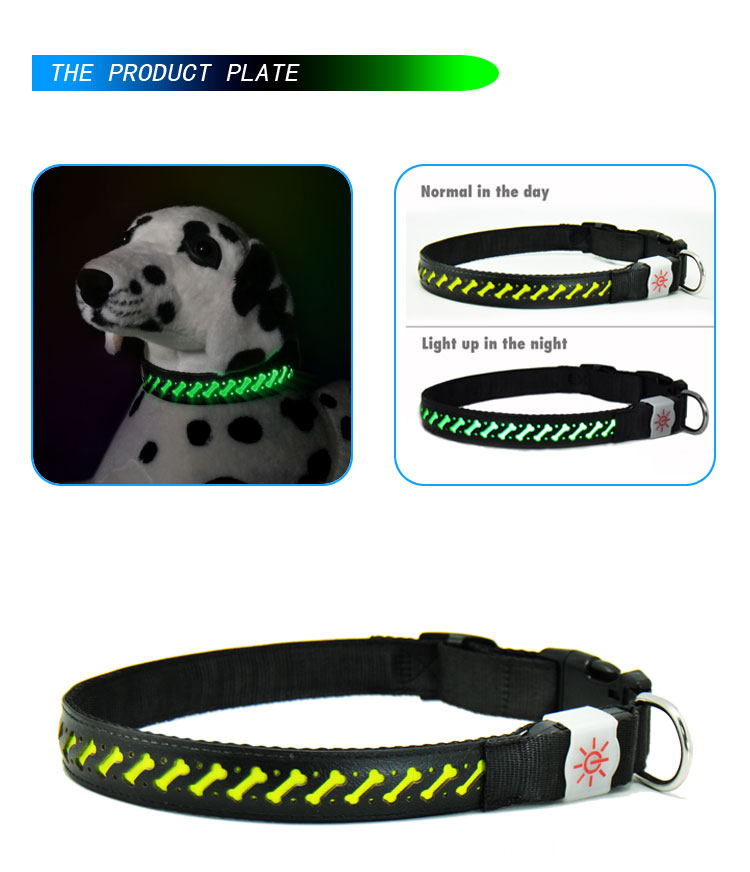 Led Dog Necklace Collar