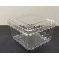 Disposable Plastic Packaging Box for Packaging Fruits